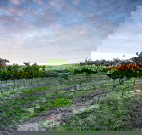 Nature and Foodies Trail - Surfers Gold Coast