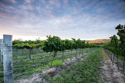 Nature And Foodies Trail - Surfers Gold Coast 0