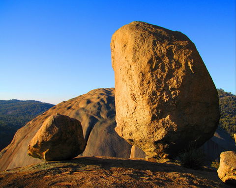 Nature And Foodies Trail - Surfers Gold Coast 1
