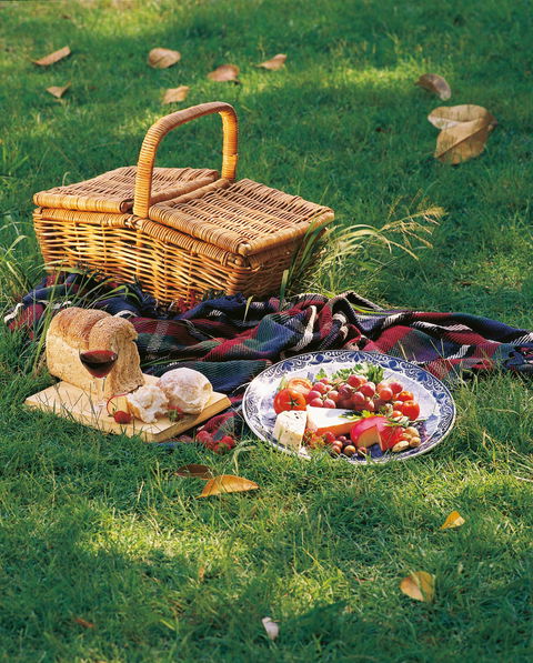 Nature And Foodies Trail - Surfers Gold Coast 2