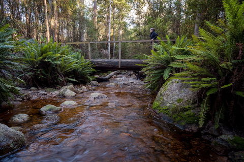 O'Neills Creek Picnic Reserve - Surfers Gold Coast 0