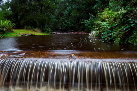 O'Neills Creek Picnic Reserve - Surfers Gold Coast 1
