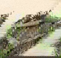 Pebbly Beach to Snake Bay walking track - Surfers Gold Coast