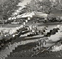 Pioneer Park - Surfers Gold Coast