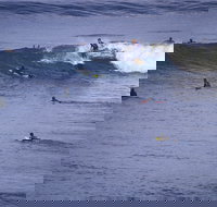 Point Addis Marine National Park - Surfers Gold Coast