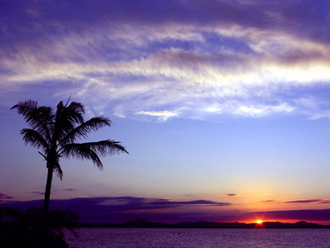 Quoin Island Retreat And Turtle Rehabilitation Centre - Surfers Gold Coast 0