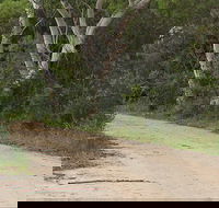 Riverview walking track - Surfers Gold Coast