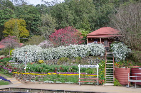 Spring Bluff Railway Station - Surfers Gold Coast 1