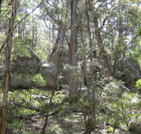Tallaganda National Park - Surfers Gold Coast