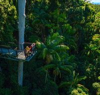 Tamborine Rainforest Skywalk - Surfers Gold Coast