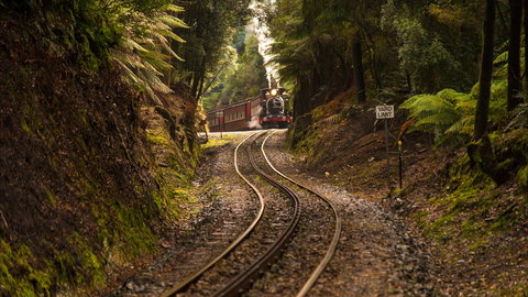 The West Coast Wilderness Way - Surfers Gold Coast 0