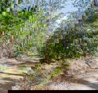 Tip to Tail Trail - Surfers Gold Coast