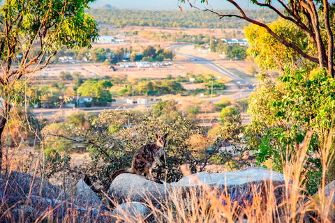 Towers Hill Lookout And Amphitheatre - Surfers Gold Coast 2