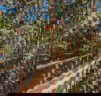 TreeTops Sydney The Hills - Surfers Gold Coast