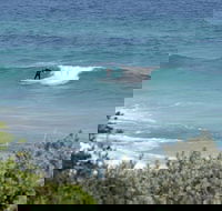 Trigg Island Beach - Surfers Gold Coast