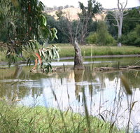 Tumut Wetlands - Surfers Gold Coast