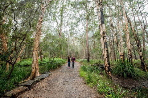 Venman Bushland National Park - Surfers Gold Coast 0
