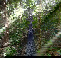 Walker Creek - Surfers Gold Coast