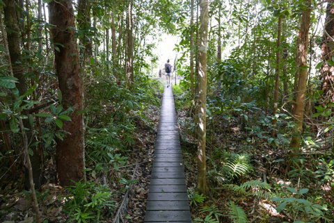 Walker Creek - Surfers Gold Coast 0