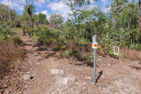 Walker Creek - Surfers Gold Coast 2