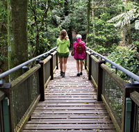 Wonga Walk - Surfers Gold Coast
