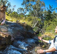 Yackandandah Gorge Scenic Walk - Surfers Gold Coast