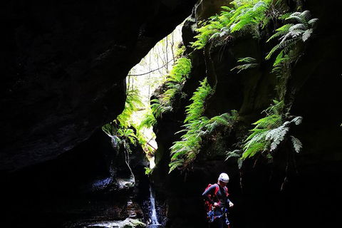 Full-Day Canyoning Experience At Stunning Empress Canyon - Surfers Gold Coast 6
