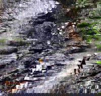 Full-Day Canyoning Experience at Stunning Empress Canyon - Surfers Gold Coast