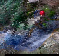 Small-Group Full-Day Canyoning and Abseiling Adventure from Katoomba - Surfers Gold Coast
