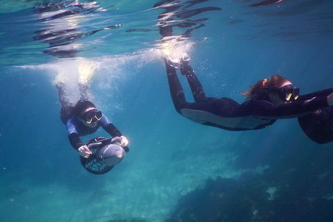 Small-Group Underwater Scooter Experience In Clovelly - Surfers Gold Coast 0