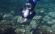 Small-Group Underwater Scooter Experience In Clovelly - thumb 2