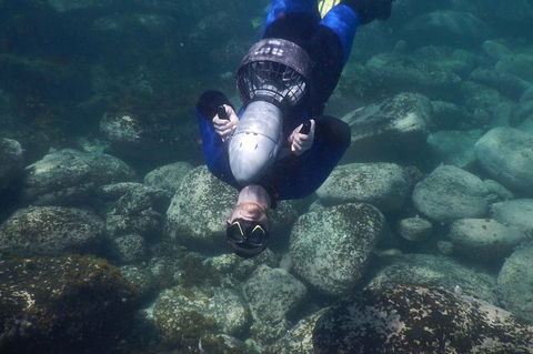 Small-Group Underwater Scooter Experience In Clovelly - Surfers Gold Coast 2