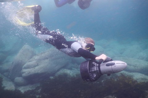 Small-Group Underwater Scooter Experience In Clovelly - Surfers Gold Coast 7