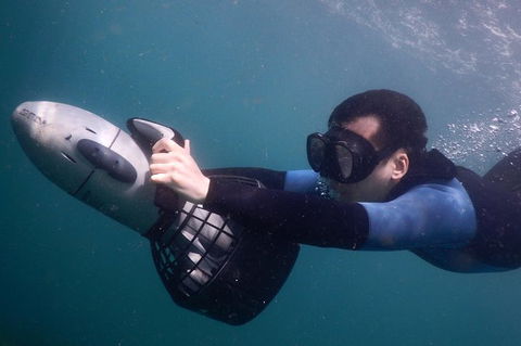Small-Group Underwater Scooter Experience In Clovelly - Surfers Gold Coast 3