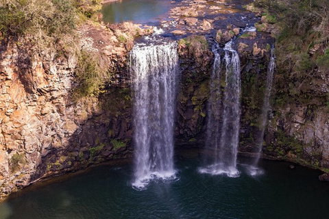 Rainforest & Waterfall Experience - Surfers Gold Coast 1