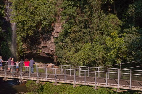 Rainforest & Waterfall Experience - Surfers Gold Coast 4