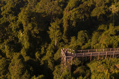 Rainforest & Waterfall Experience - Surfers Gold Coast 5