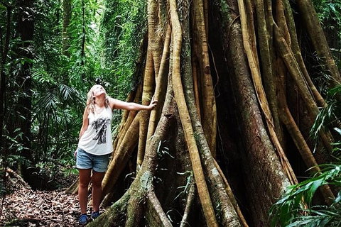 Rainforest & Waterfall Experience - Surfers Gold Coast 3