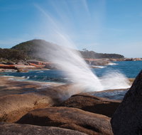 Bicheno Blowhole - Surfers Gold Coast