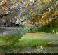 Gateway Island Parklands - Surfers Gold Coast