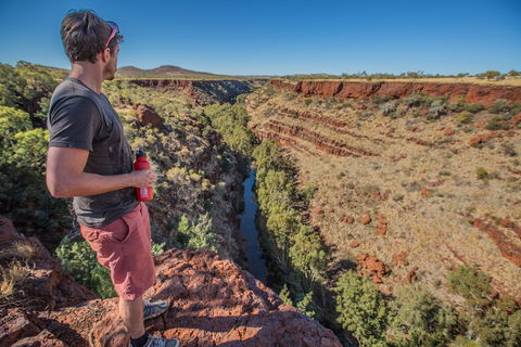 Gorge Rim Walk, Dales Gorge - Surfers Gold Coast 0