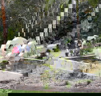 Maroochy Regional Bushland Botanic Garden - Surfers Gold Coast