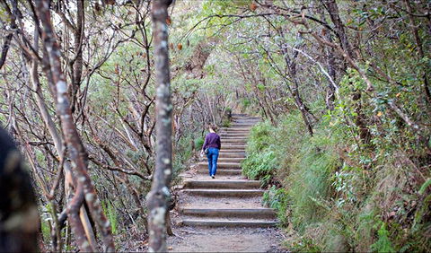 Princes Rock Walking Track - Surfers Gold Coast 0