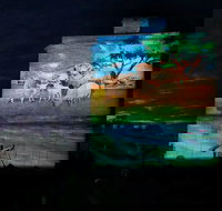 Quorn Silo Light Show - Surfers Gold Coast