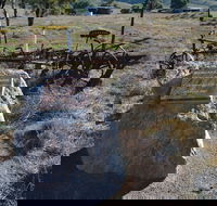 Wangaraleednie Monument  Ruins - Surfers Gold Coast