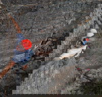 Small-Group Weekend Rock Climbing Adventure from Katoomba - Surfers Gold Coast
