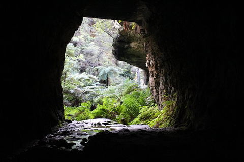 Glow Worm Tunnel Hike - Surfers Gold Coast 1
