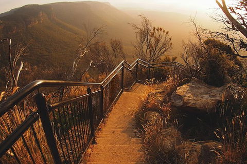 Blue Mountains Vintage Cadillac Tour With Local Guide - Surfers Gold Coast 5