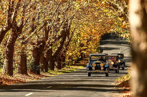Blue Mountains Vintage Cadillac Tour With Local Guide - Surfers Gold Coast 8