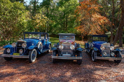 Blue Mountains Vintage Cadillac Tour With Local Guide - Surfers Gold Coast 2